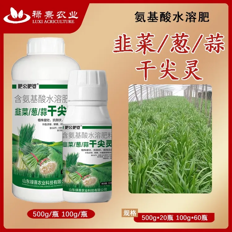 韭葱蒜干尖灵大葱姜黄叶烂根干尖死棵专用水溶肥料农肥