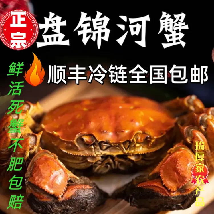正宗盘锦河蟹稻田蟹活蟹保肥款【顺丰全国包邮】公蟹母蟹