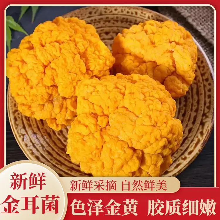 菌佰珍云南新鲜金耳菌顺丰包邮可刺身食用的高端食材