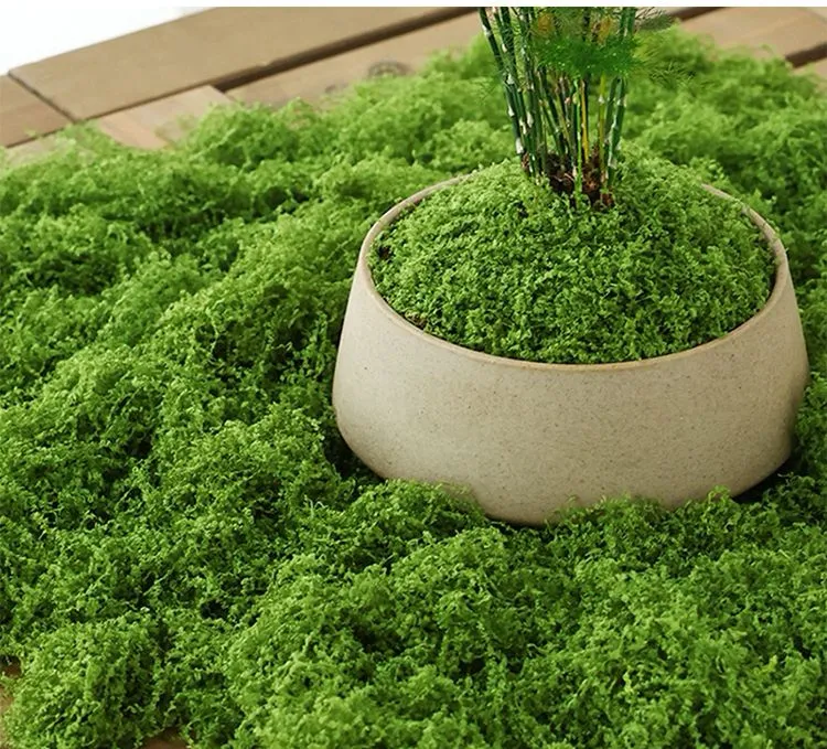 仿真草皮草坪假苔藓丝线羊毛藓假青苔微景观草皮不掉毛不掉色草皮