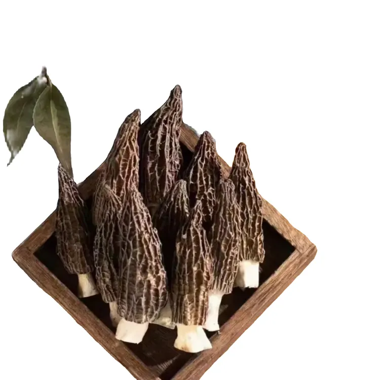 羊肚菌干货特产5-8cm特级菌菇煲汤材料肉厚无沙无硫菌菇美食