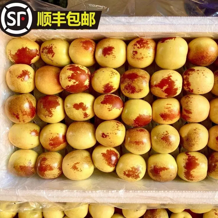 陕西正宗大荔冬枣脆甜冰糖5斤核小肉厚顺丰