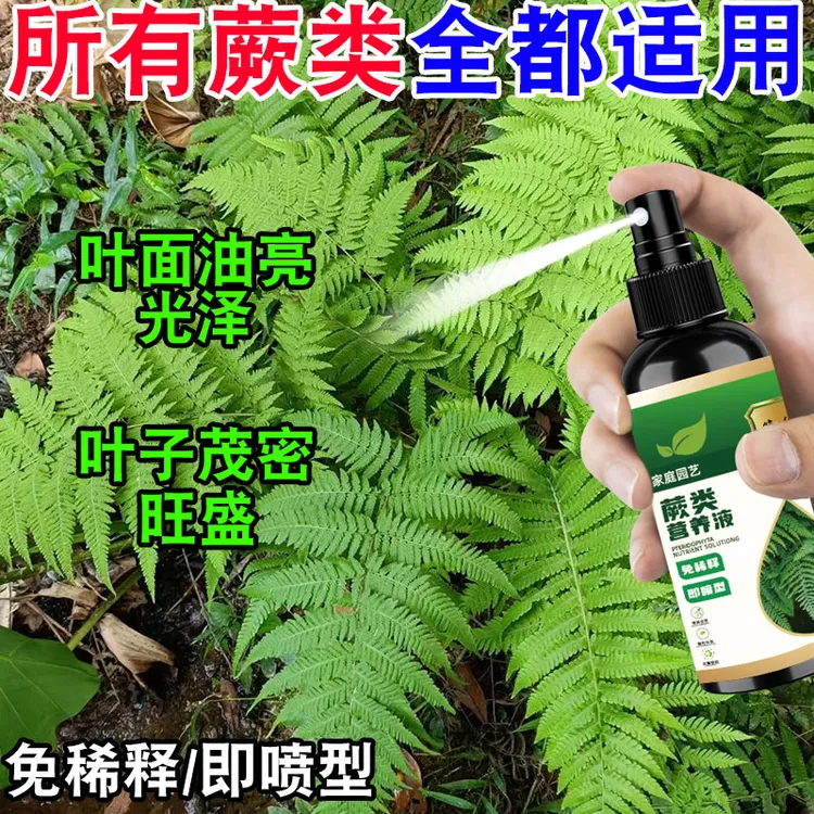 蕨类植物专用营养液土培水培液体肥料盆栽景金丝猴蕨黄叶绿叶有机