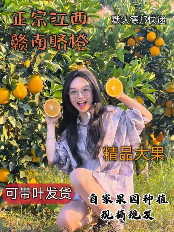 赣南脐橙正宗江西赣南信丰脐橙新鲜橙子现摘现发3斤九省包邮