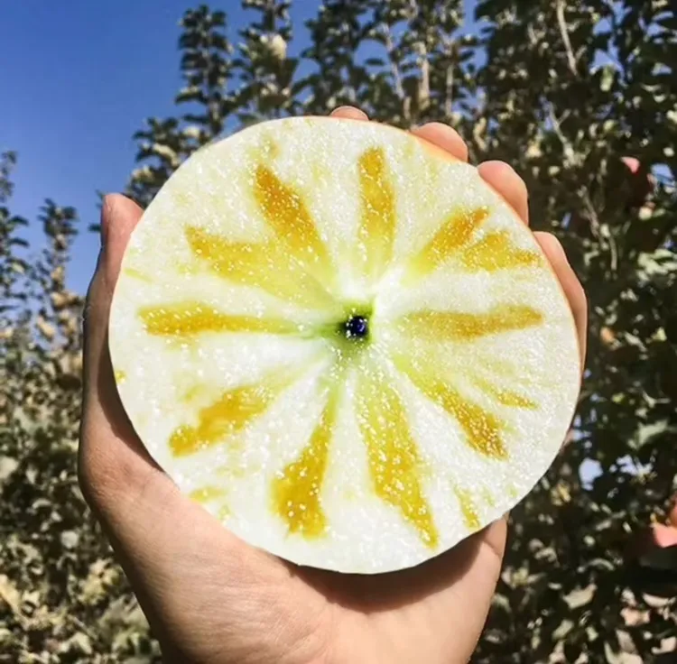 大凉山盐源丑苹果糖心苹果新鲜 甜脆多汁  （带箱十斤）大果