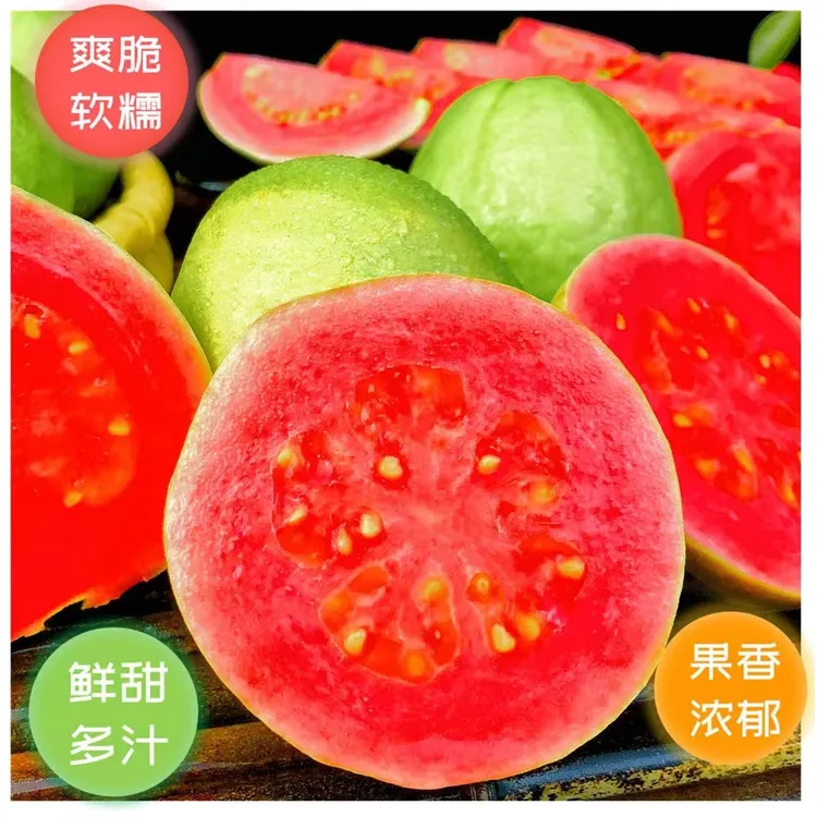 广西红心白心芭乐番石榴