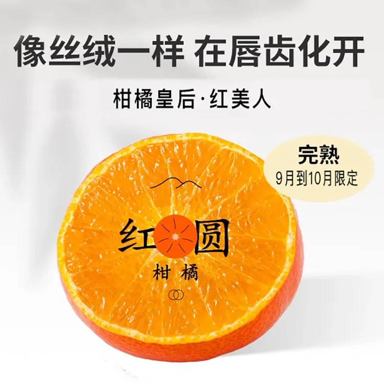 【象山红美人】顺丰到家入口即化口感:橙香四溢·果肉细嫩·香甜多汁