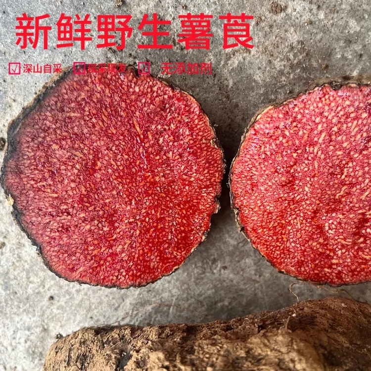 野生薯莨 新鲜现挖 朱砂莲血三七鸡血莲红药子野生1斤-5斤包邮