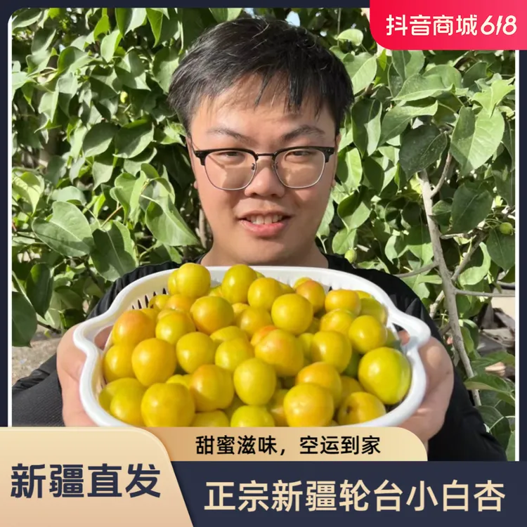 【顺丰空运】新疆轮台小白杏产地直发香甜多汁新鲜应季现摘水果爆甜