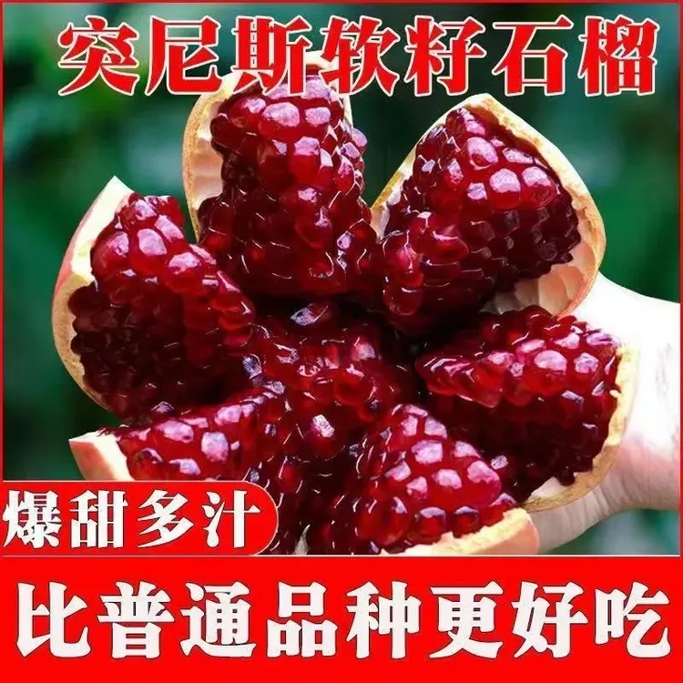 【现摘】正宗突尼斯软籽石榴新鲜孕妇水果当季爆甜软籽石榴