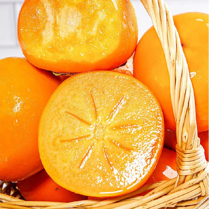 嫁接阳丰太秋脆甜软甜柿子树苗南北方种植易成活盆栽地栽耐寒耐热