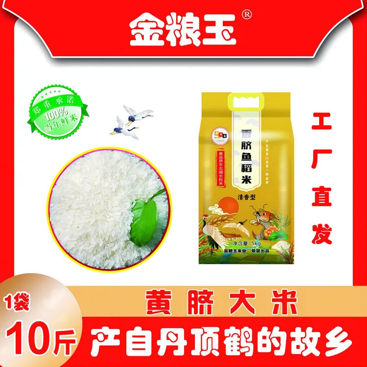 金粮玉2024新米 真空所鲜  香脐鱼稻米10斤  粳米 鲜米 新米 营养