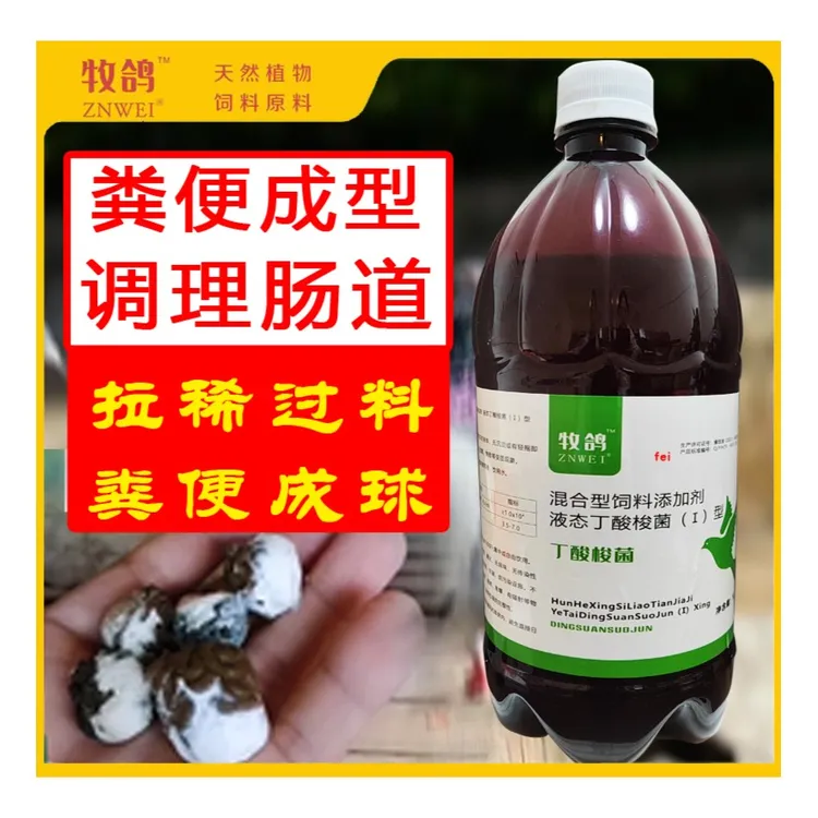 牧鸽丁酸梭菌护理鸽子肠道鸽子粪便快速成球肠道有益菌饲料畜牧添