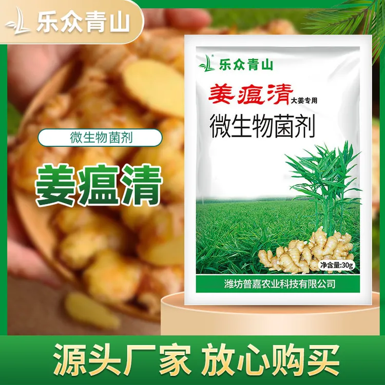 【姜瘟清】大姜生姜蔬菜植物通用叶面肥促生长农业科技