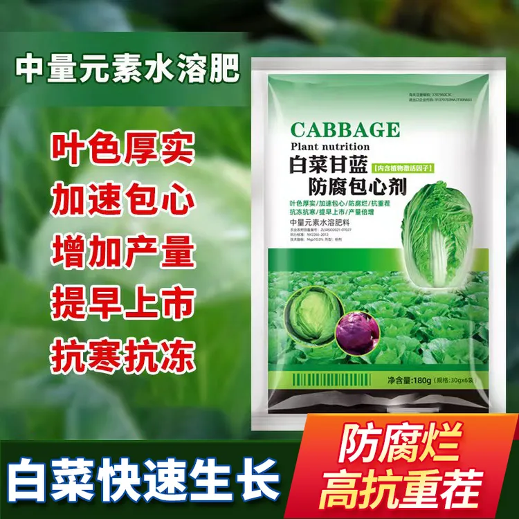 大白菜防腐包心剂白菜甘蓝叶面肥加速包心抗寒抗旱抗重茬防烂心