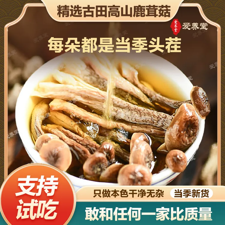【精品级高山鹿茸菇】干货脆脆菇炒菜煲汤食材菌汤鲜香鹿茸菇干货