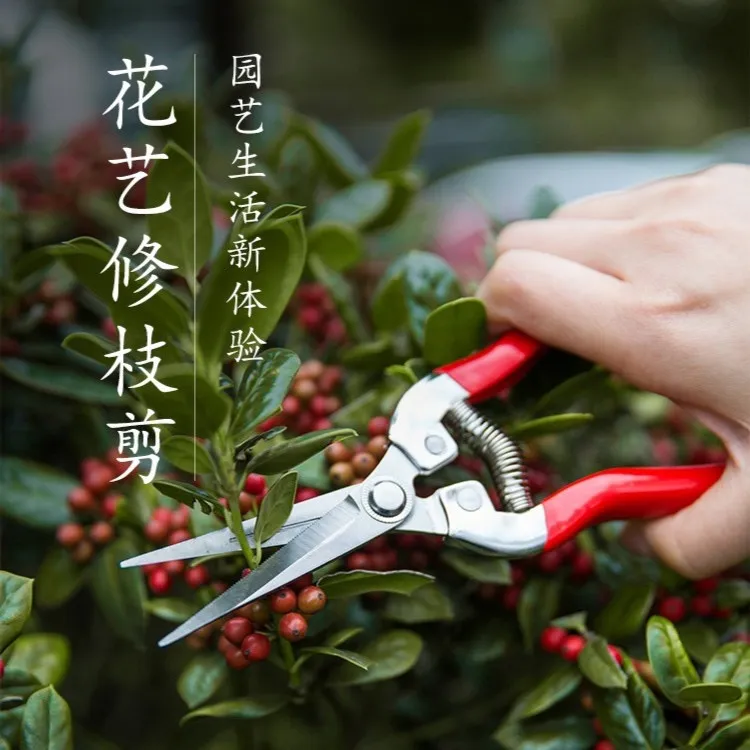 园艺剪修枝剪枝园林修花剪子园艺剪刀修枝剪刀修剪花卉剪花枝花剪