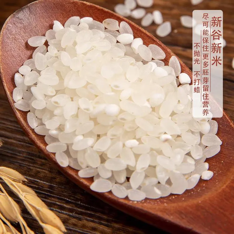 蟹田新大米2023年射阳新米10装苏北软香米农家粳米20斤包装袋米