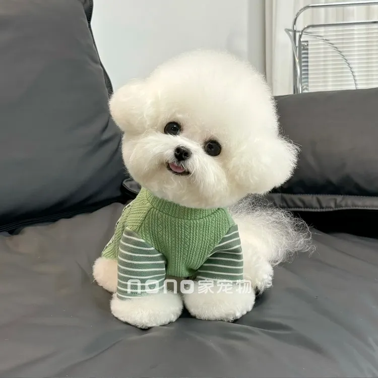 比熊狗狗衣服秋冬新款D字扣拼接卫衣舒适柔软打底衫宠物猫咪泰迪