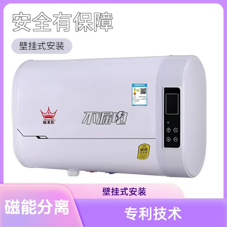 磁能热水器加热洗澡60升电热水器淋浴卫生间扁桶恒温储水式双胆