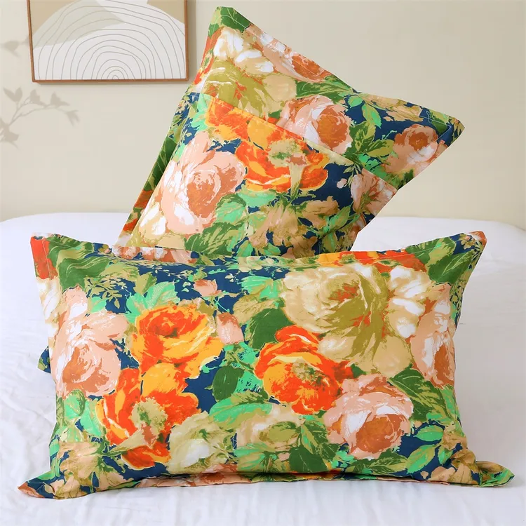 生姜暖绒枕套一对装48*74大号成人家用枕头套学生宿舍枕皮