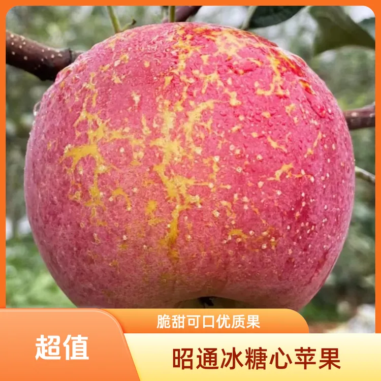 正宗云南昭通丑苹果口感果园水果直发5斤快递包邮