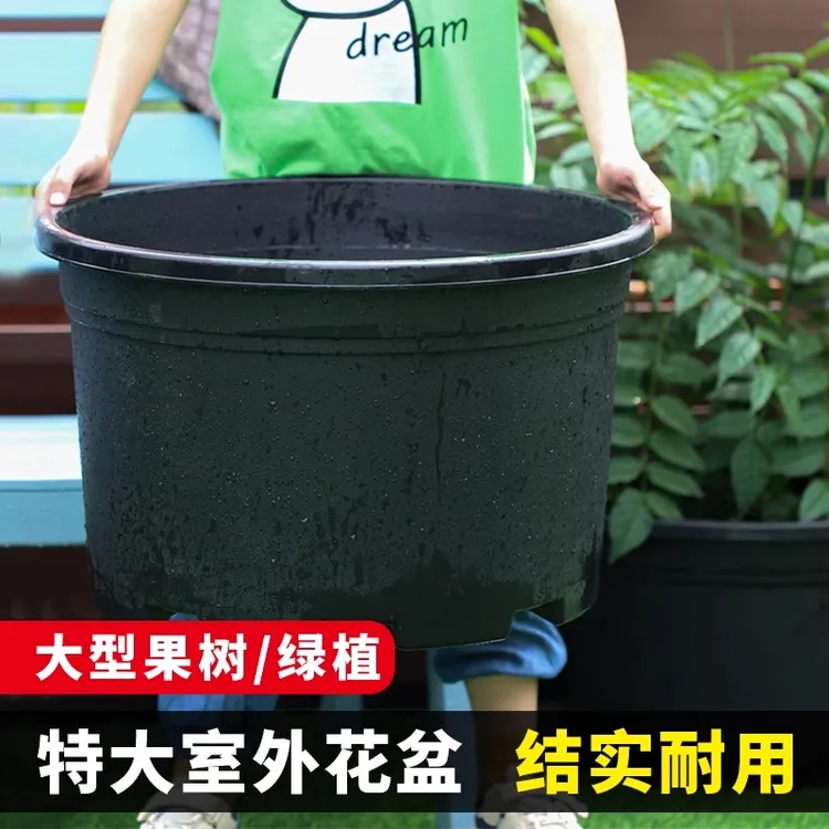 加厚特大园艺花盆黑加仑盆矮胖绣球蓝莓葡萄控根盆透气月季定植盆