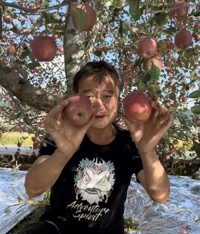 云南昭通正宗糖心丑苹果红富士当季热销现摘现发脆甜多汁果园直发