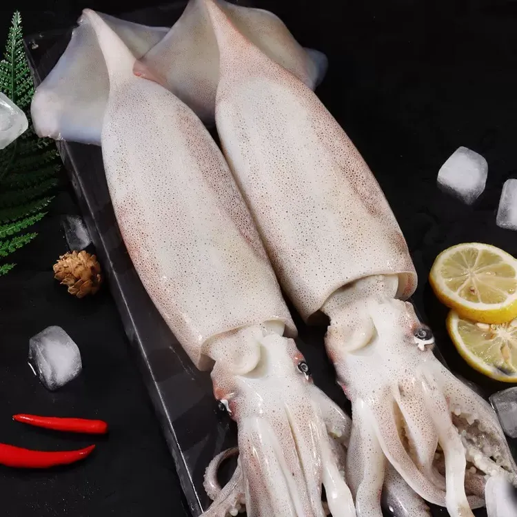 连云港 新鲜冷冻大鱿鱼   5斤/8斤海鲜食用嚼劲鲜嫩称重鲜味急冻