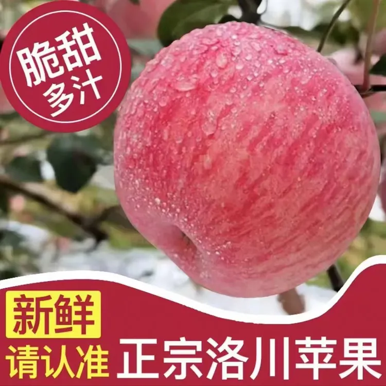 洛川红富士[2024新果】（精品果）商超品质【假一赔十】坏果包赔