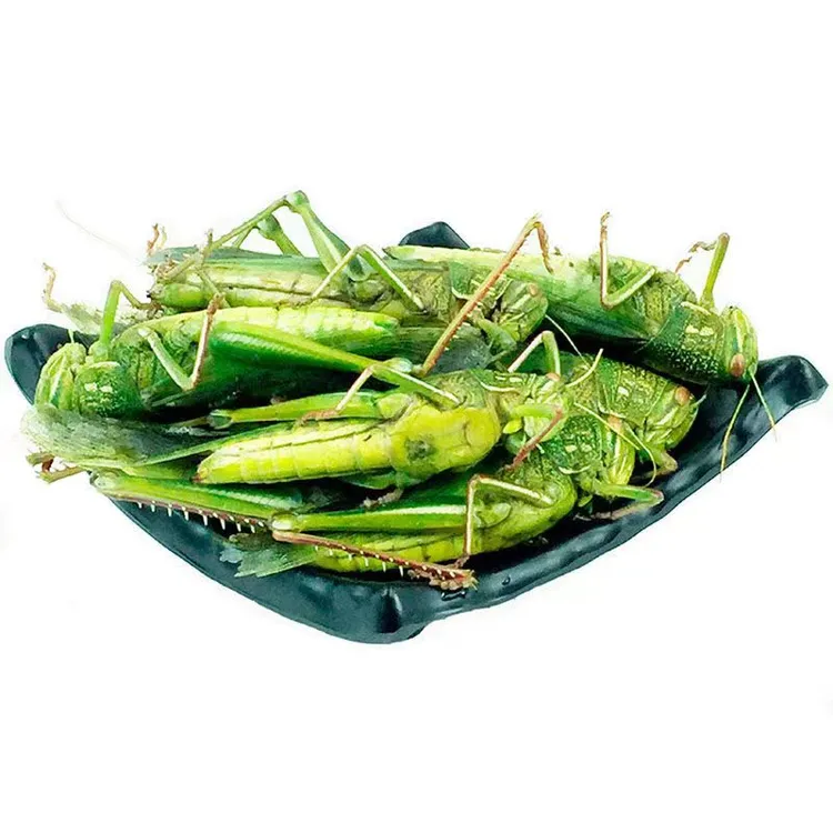 蹬倒山油蚂蚱棉蝗新鲜冷冻0.5斤1斤2年货节好物味道鲜美可食用