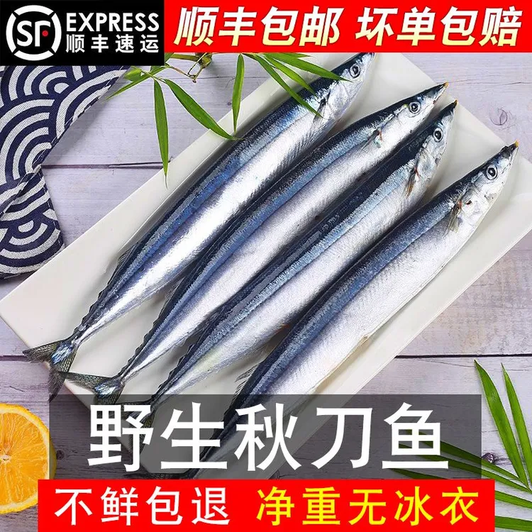 【顺丰包邮】新鲜秋刀鱼鲜活冷冻特大号深海秋刀鱼商用烧烤食材海鲜