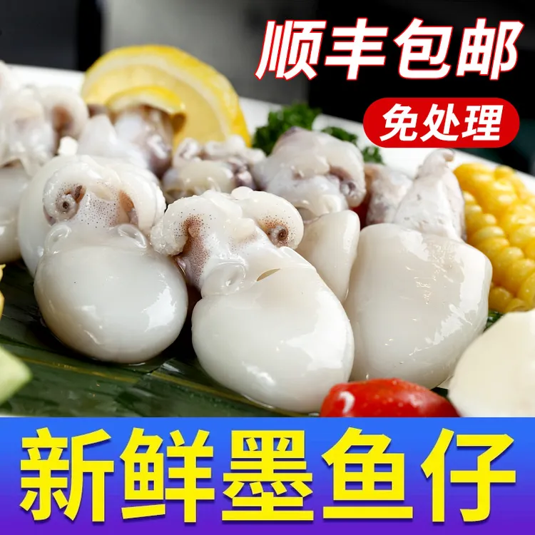 【顺丰包邮】新鲜墨鱼仔鲜冻刺身生鲜连云港乌贼小鱿鱼海鲜去内脏