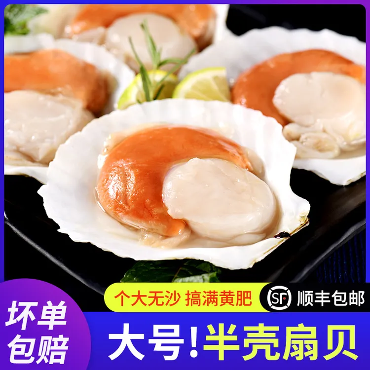【顺丰包邮】鲜活冷冻半壳扇贝超大夏夷贝虾夷贝带壳元贝商用海鲜