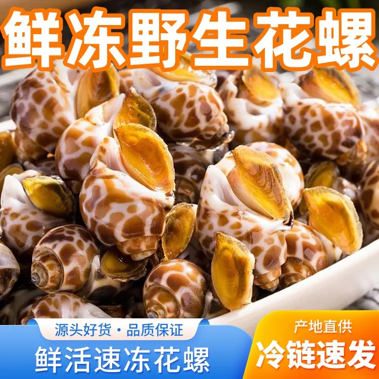 【顺丰包邮】新鲜花螺熟冻特大号猫眼螺无沙鲜冻东风螺花贝凤螺海鲜