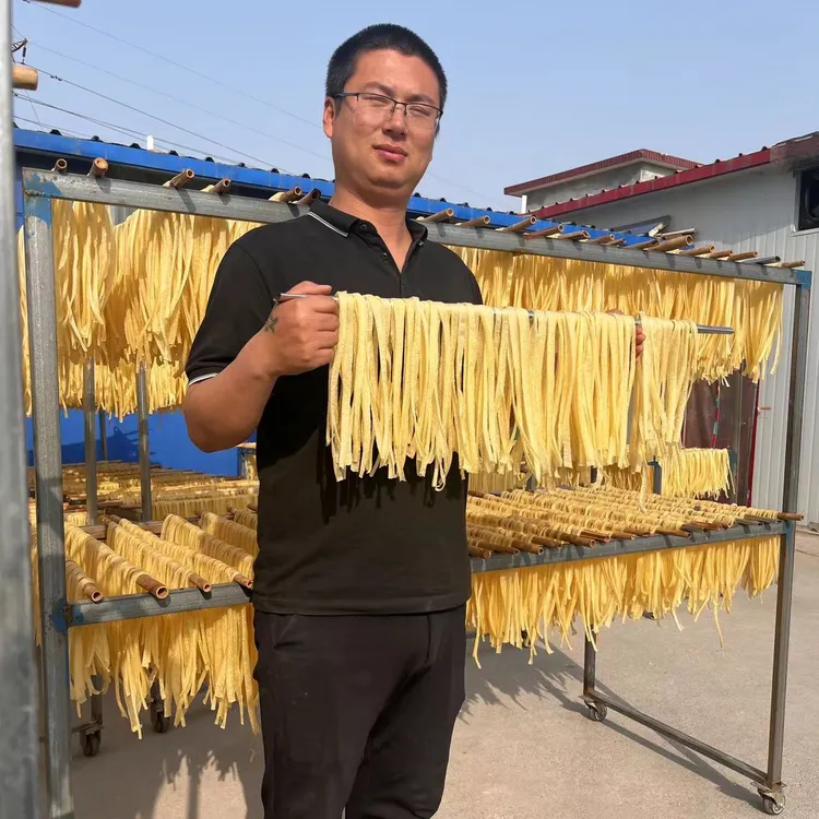 河南特产长条干凉皮干面皮速食免煮红油凉皮凉拌小吃家庭实惠新店