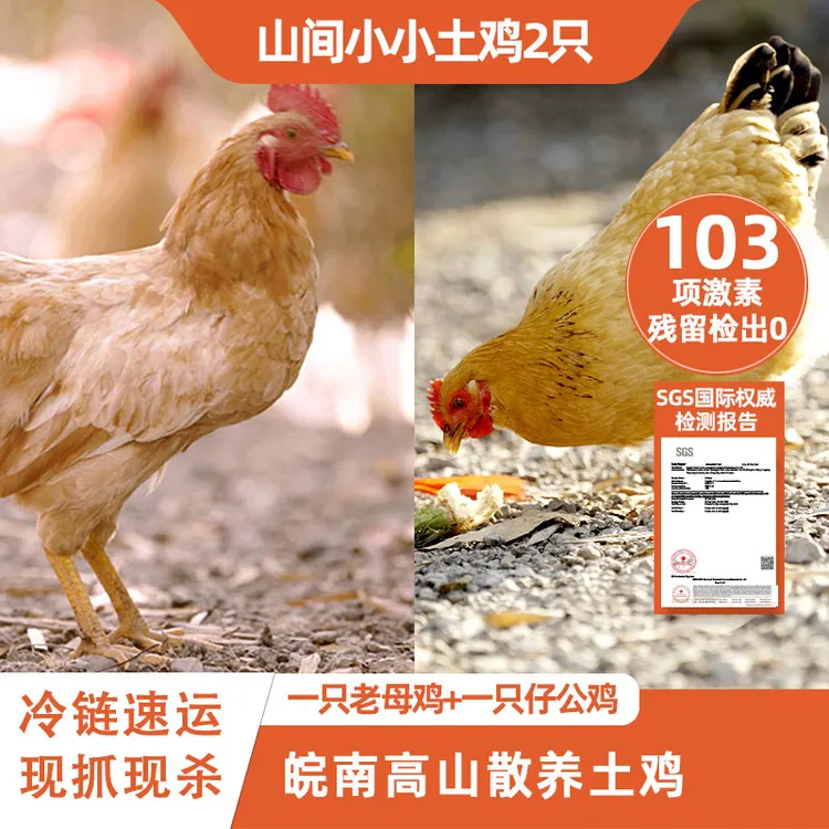 【母子组合】皖南高山散养老母鸡+童子鸡组合套餐总净重3.1-4.0斤