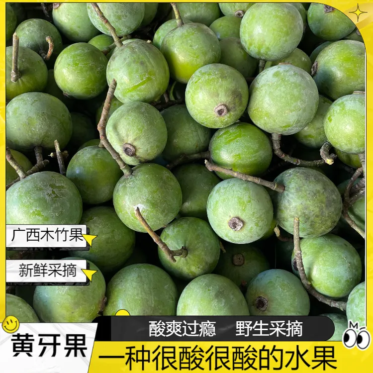 【山货】广西木竹果酸枇杷酸黄牙果新鲜木竹子酸桐子酸水果2斤