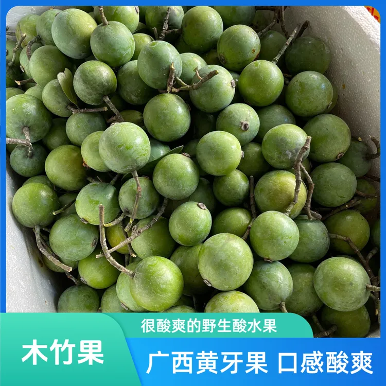 广西木竹果黄牙果新鲜木竹子酸桐子天然水果摘2斤包邮