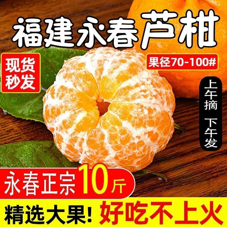 【黑哥专供】正宗永春芦柑老树芦柑新鲜现摘当季清甜多汁孕妇水果