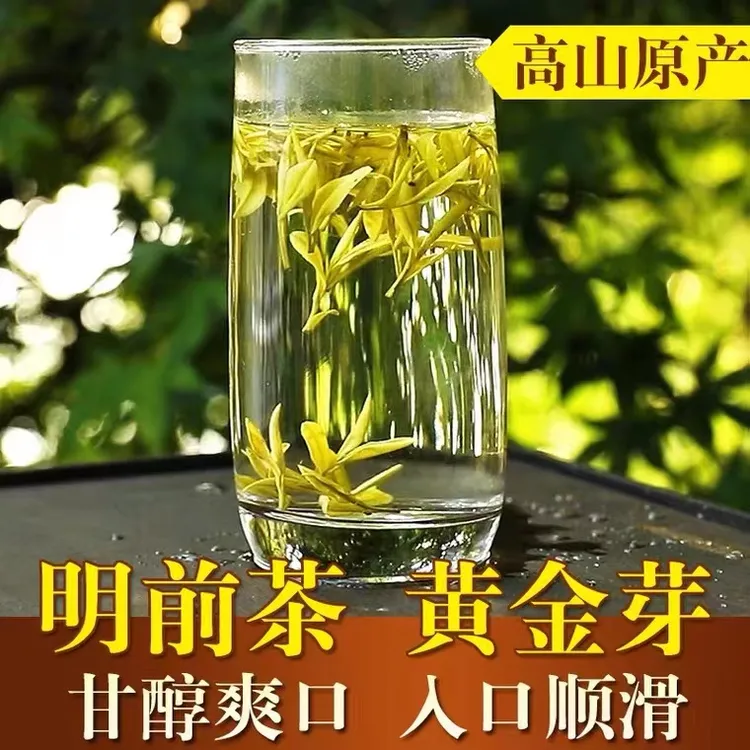 『新号补贴』2025新茶H298款 明前高山黄金芽  250g/500g