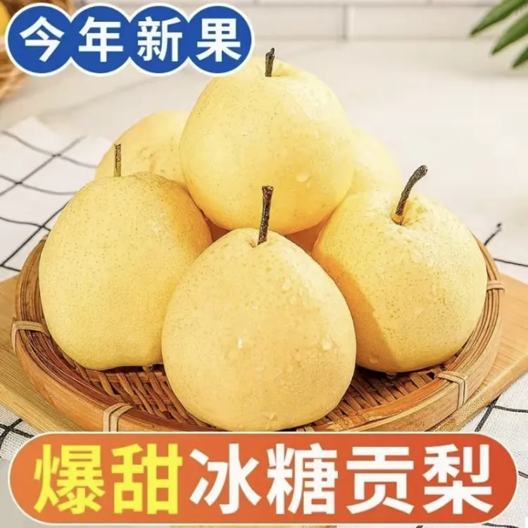 山西贡梨冰糖蜜梨应季水果3/5/9/脆甜爆汁酥脆香甜皮薄肉厚汁水多
