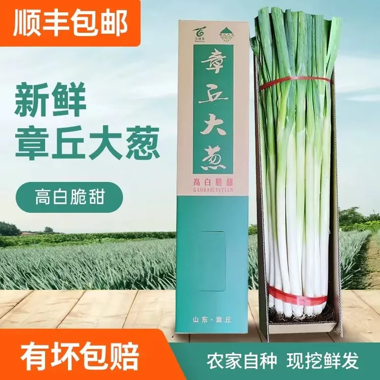 正宗山东章丘大葱礼盒装原产地发货新鲜脆甜微辣铁杆大葱顺丰包邮