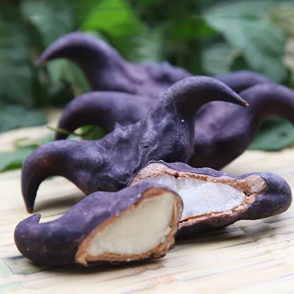 湖北特色水生蔬菜洪湖新鲜老菱角粉糯香甜现摘现发1斤3斤5斤装