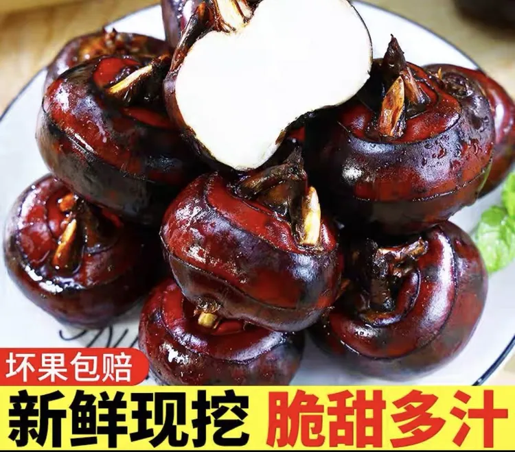 湖北新鲜红果马蹄脆甜多汁带泥巴灰发货5斤荸荠当季水果煲汤马蹄