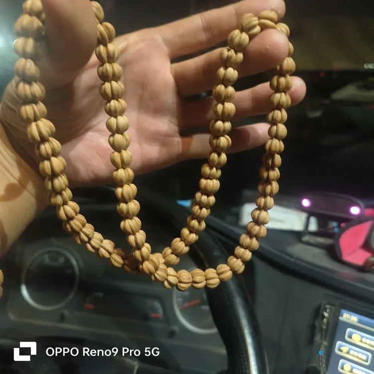 野生山楂囫，自己爱玩，自己串的