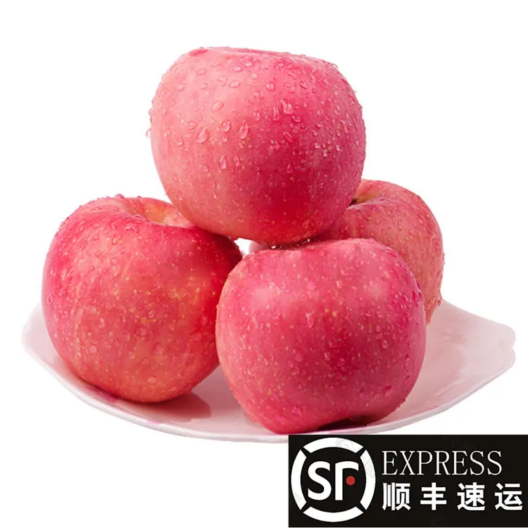 满箱【顺丰快递】2025头茬洛川早熟红富4.5斤-15斤新鲜脆甜汁水饱满