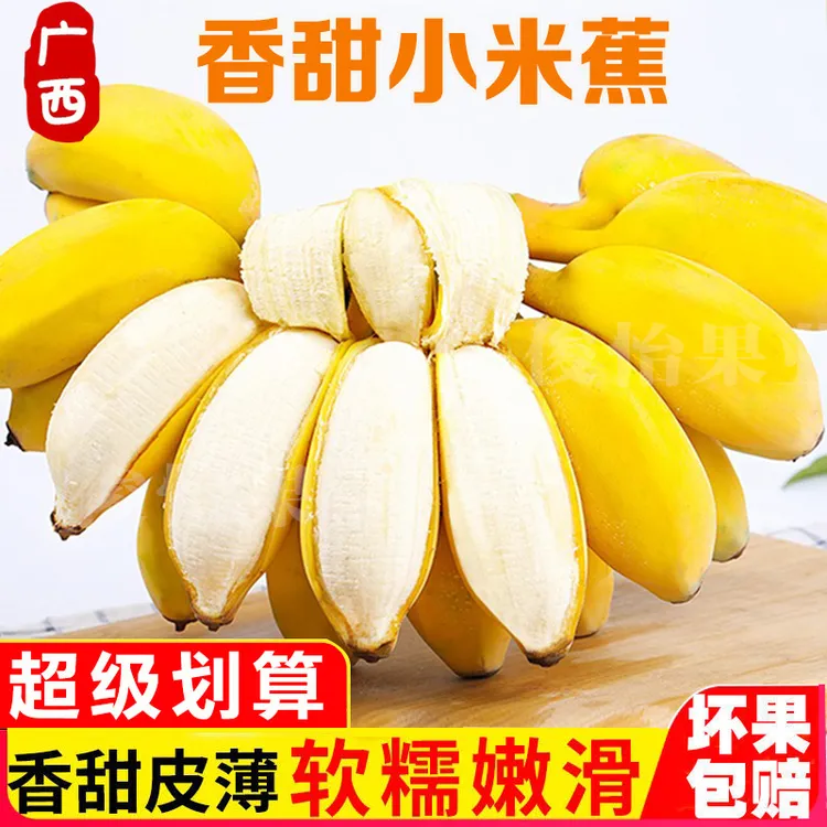 【粉丝福利4】广西香甜小米蕉现摘时令新鲜水果拇指蕉批发1/5/10斤