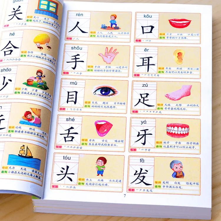 识字书幼儿认字识字大王3000字幼儿园儿童大班学前班宝宝早教