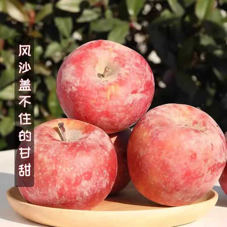 【红旗坡直发】正宗新疆阿克苏龙虾心丑苹果9斤苹果龙虾心甜脆